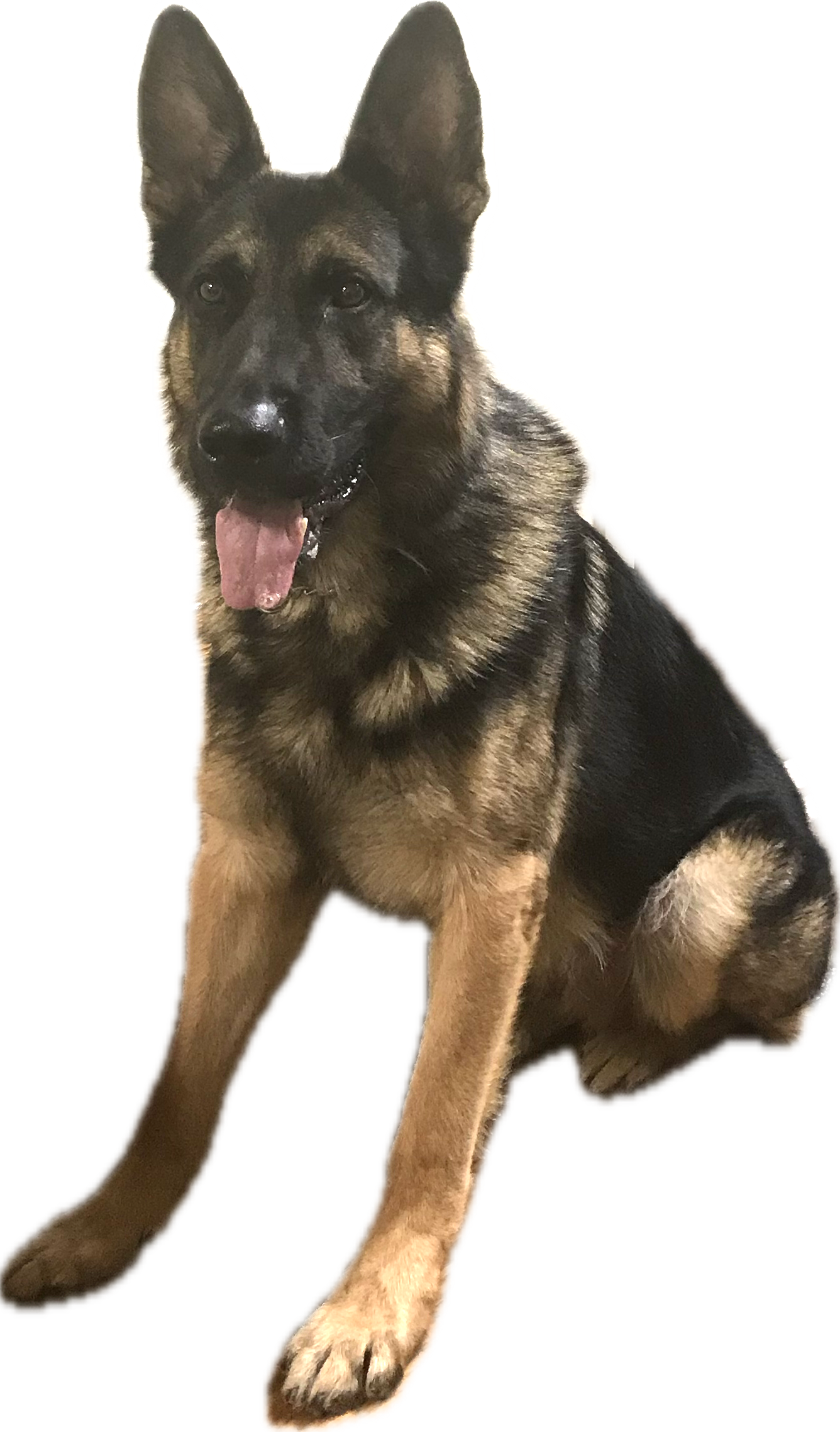 Yogi EOW.png